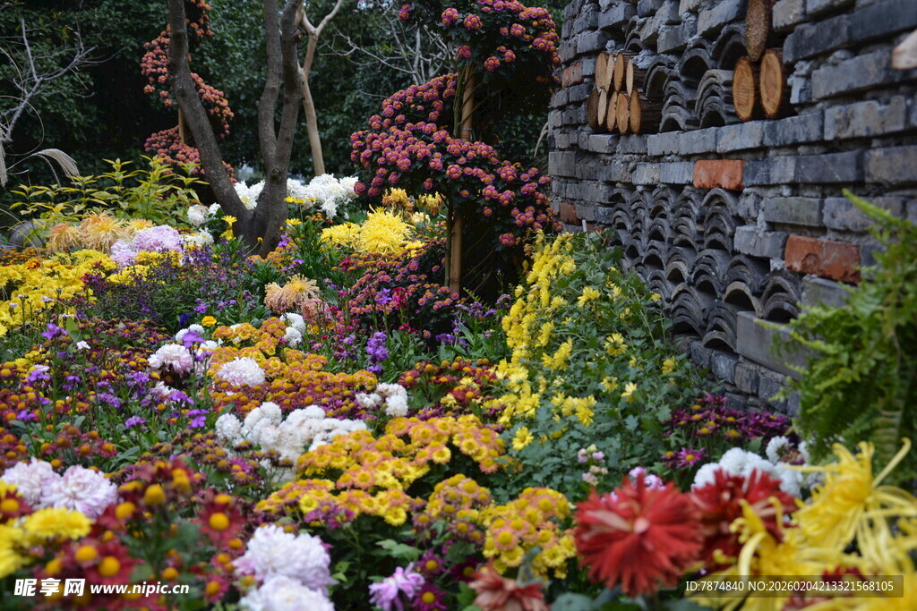 多彩花卉装点墙边美景