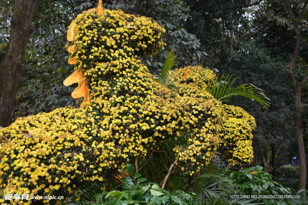 金黄繁花造型植物景观