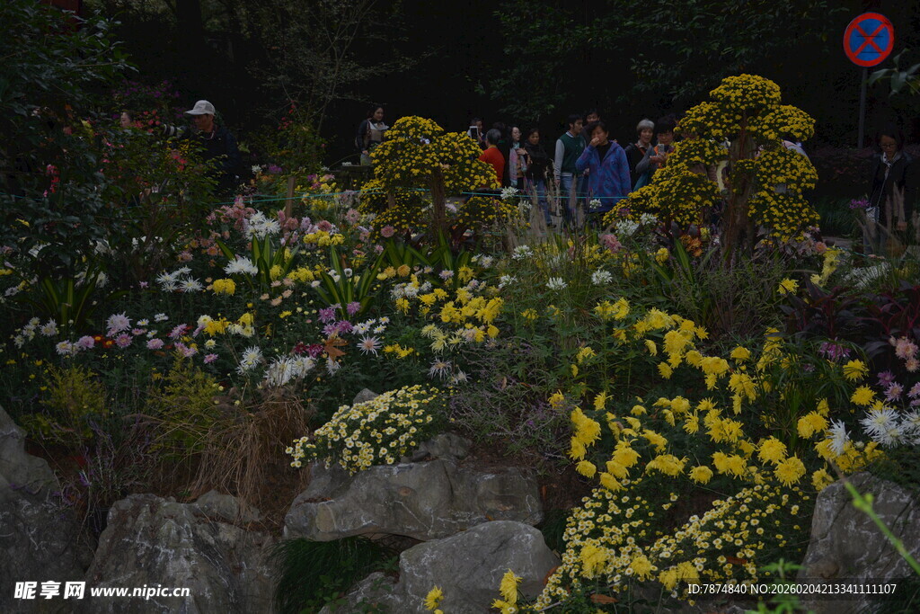 花园中的多彩花卉与岩石