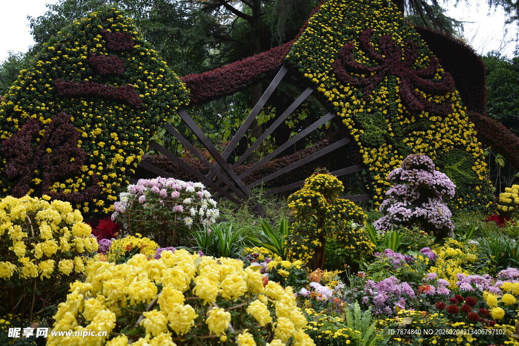 美丽多彩花园景观