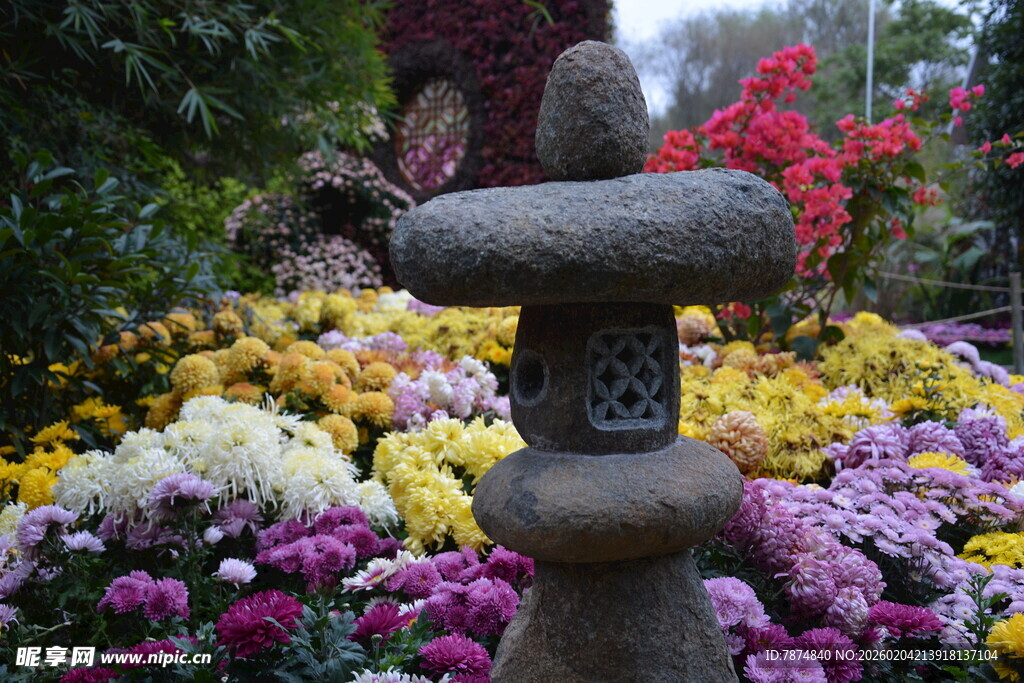 石灯笼点缀多彩花卉景观