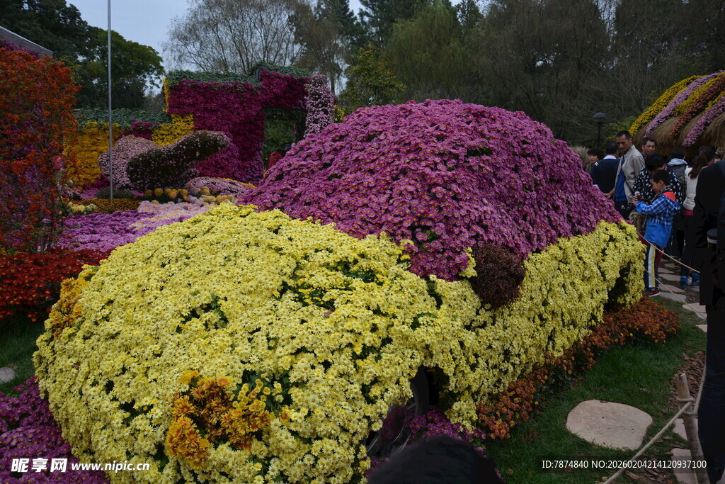 多彩菊花造型景观