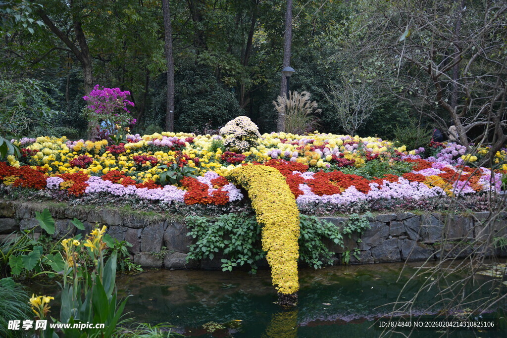 缤纷花卉装点的水边景致