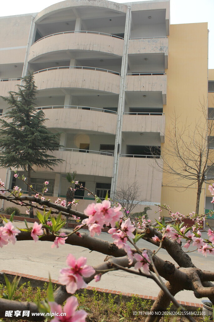 春日校园繁花与建筑美景