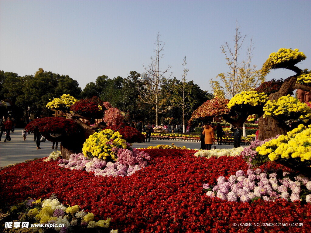 绚丽多彩的户外花卉景观