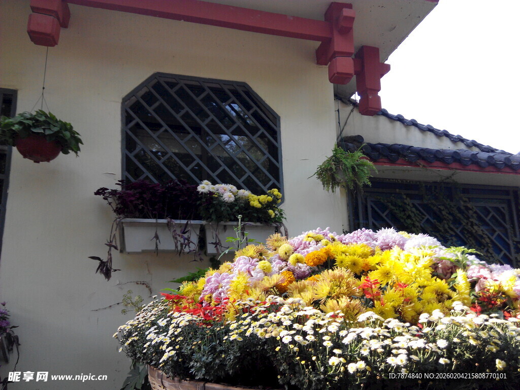 门前缤纷花卉装点