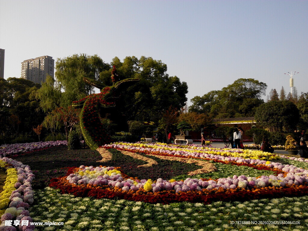 多彩花卉组成的美丽景观