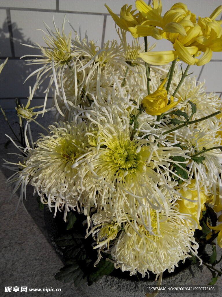 黄白菊花组合插花作品