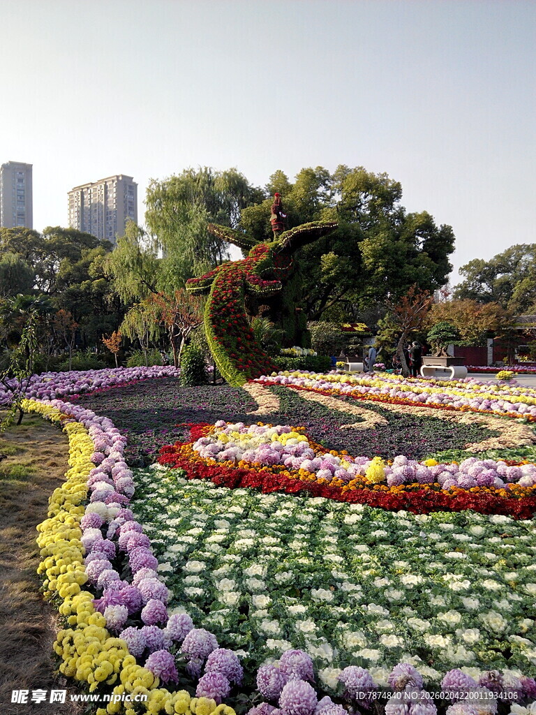 多彩花卉造型景观
