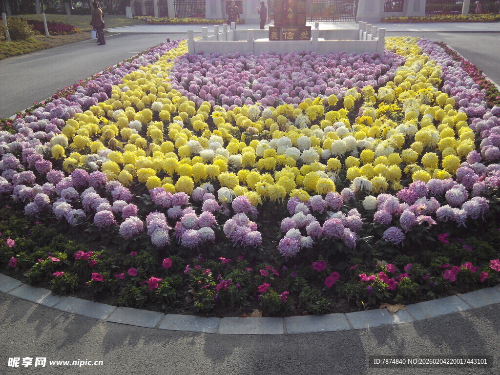 多彩花卉组成的美丽花坛