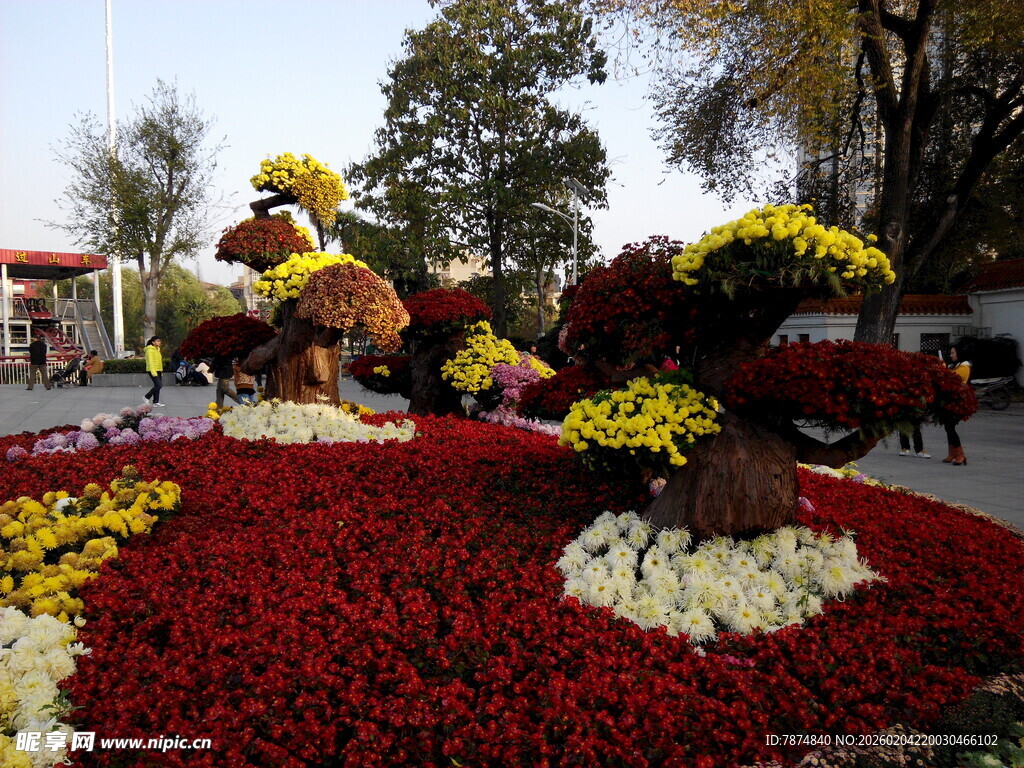 秋日花坛美景