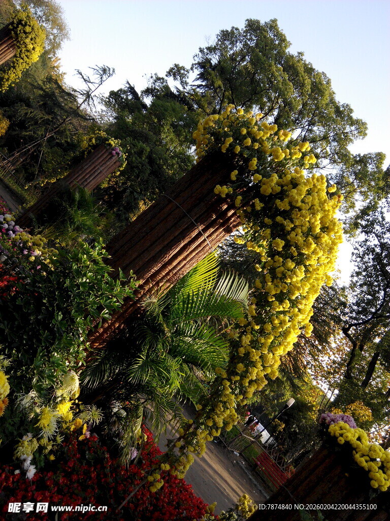 庭院绿植环绕的木质景观