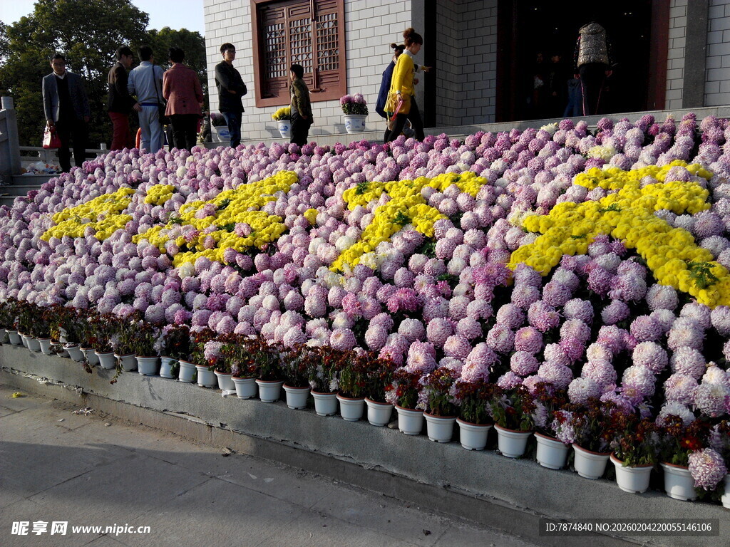 花坛造型 多彩花卉装点