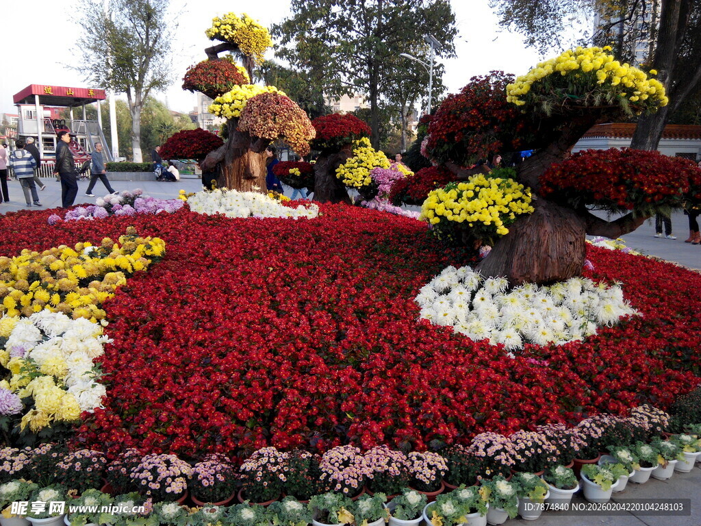 绚丽多彩花卉景观