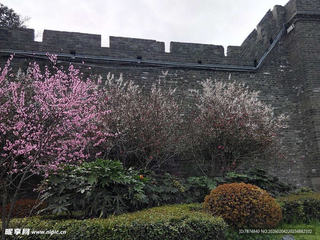 古城墙边绽放的烂漫花卉