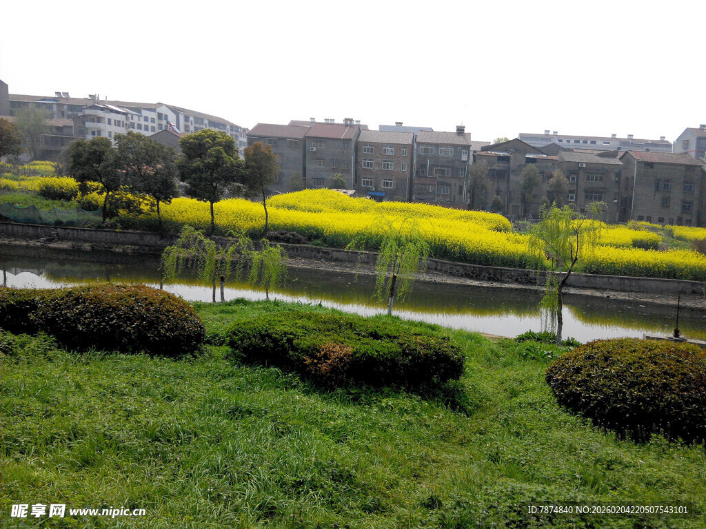 春日田野风光美景