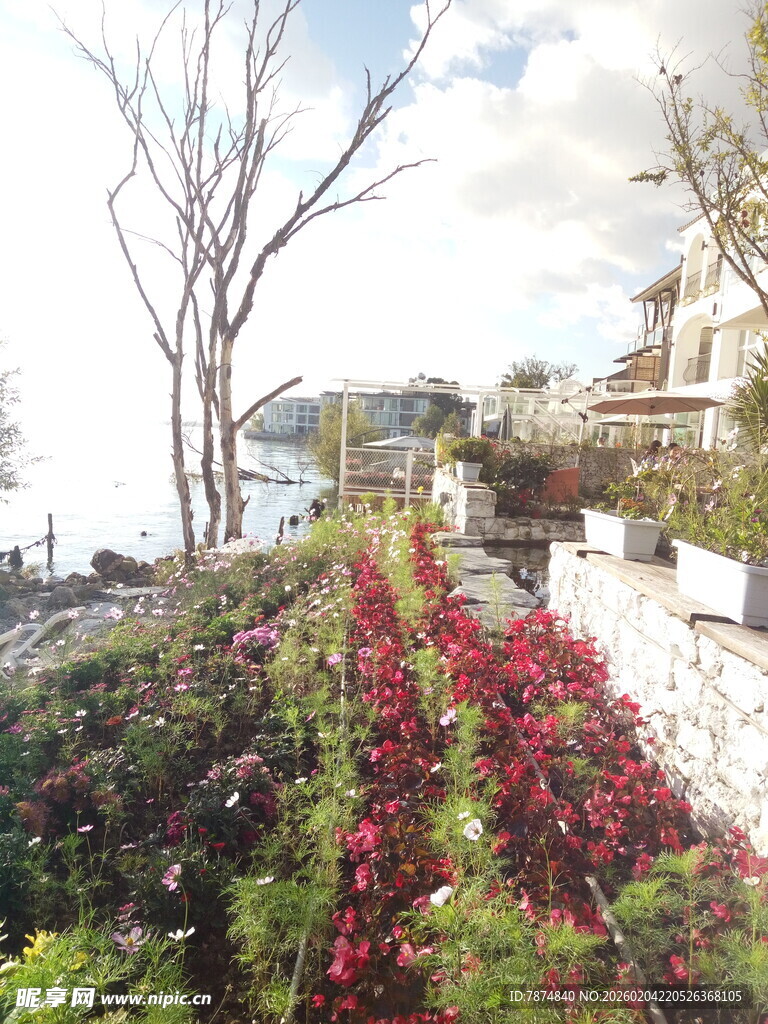 花园小径旁的多彩花卉景观