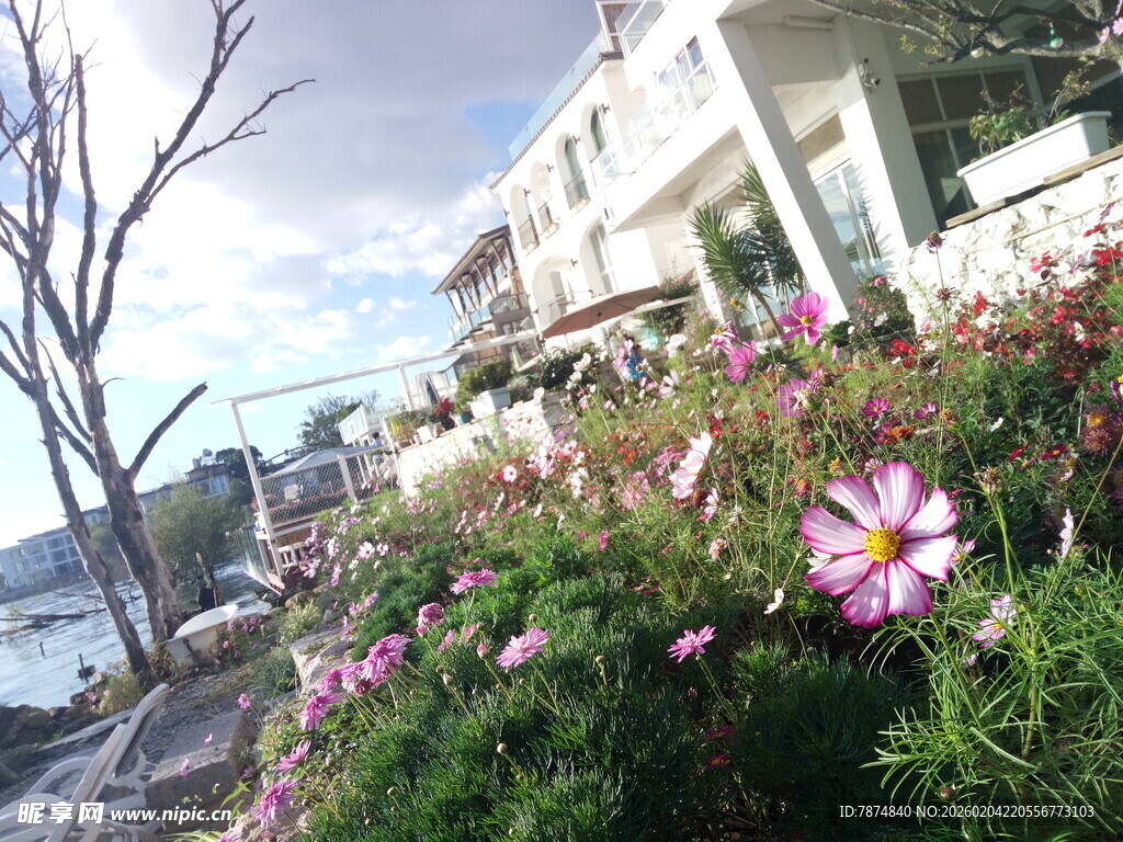 海边繁花盛开的美丽景致
