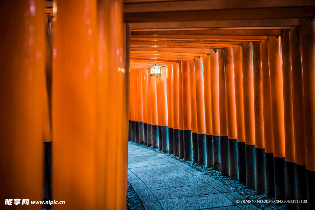 日本橙红色鸟居通道的神秘景象