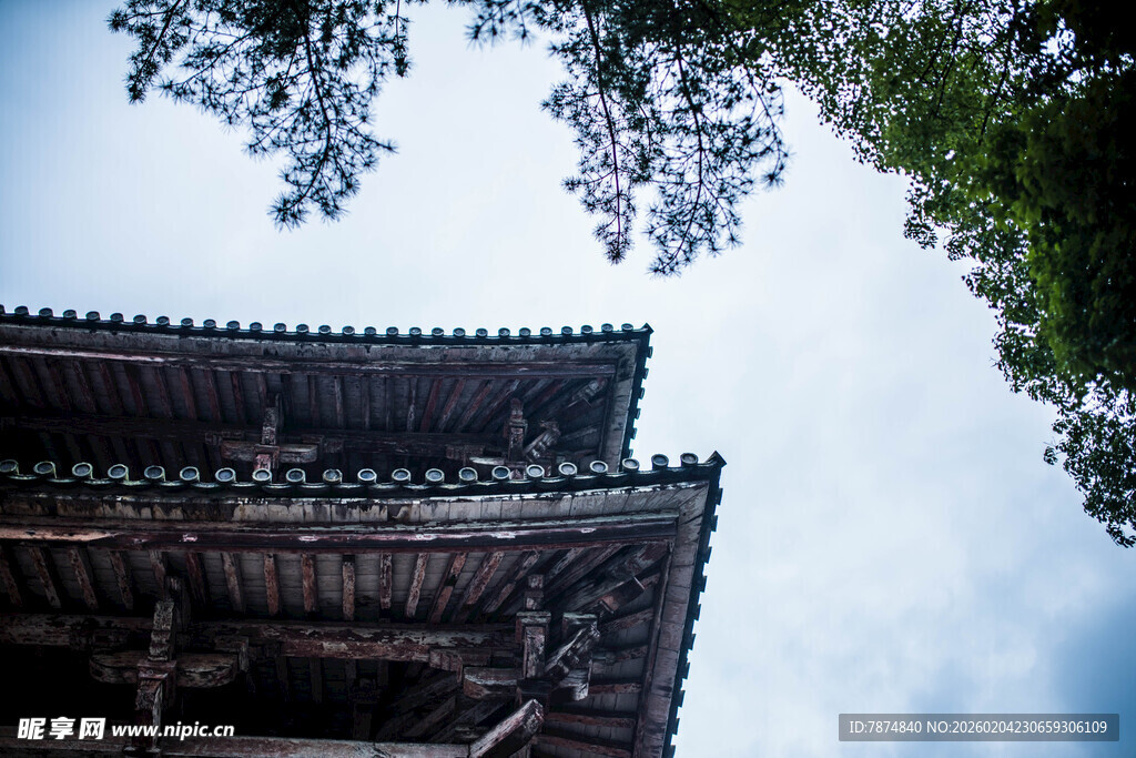 日本古建屋檐与枝头绿意