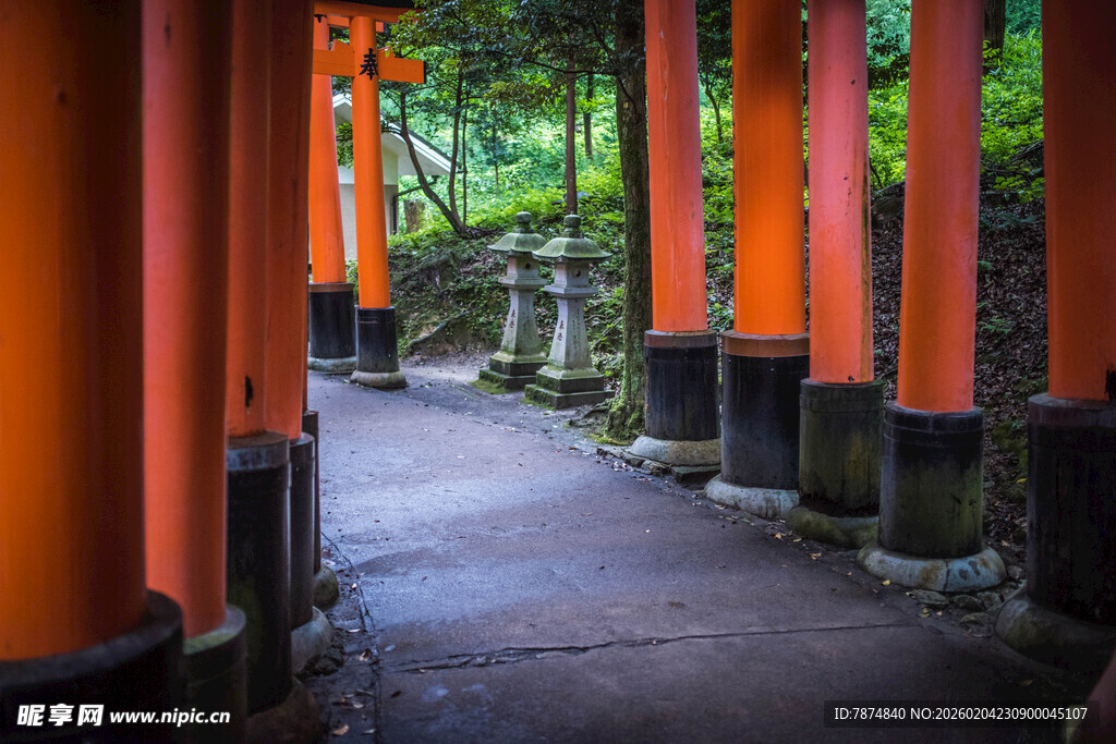 日本红色鸟居构成的幽静通道