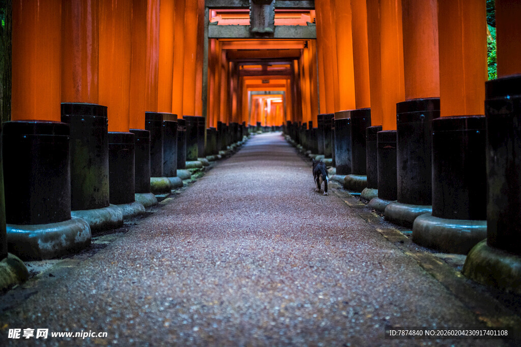 日本伏见稻荷大社千本鸟居
