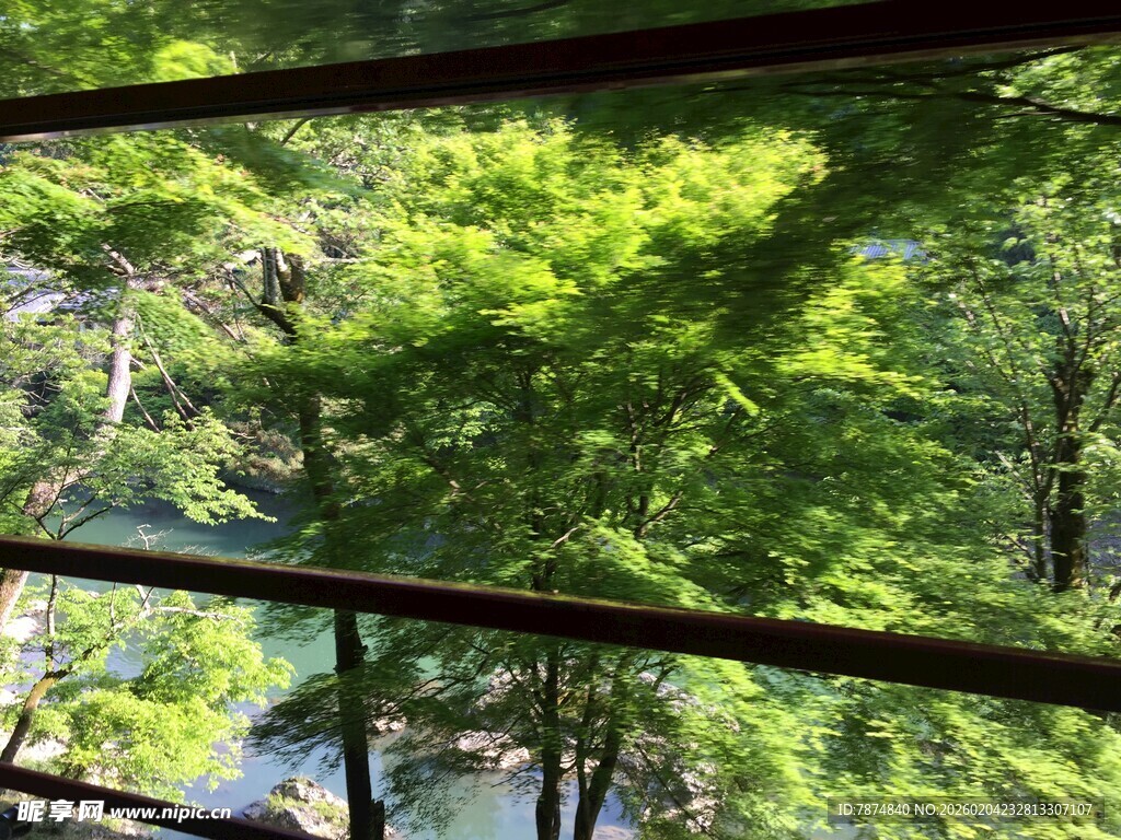 日本透过栏杆望葱郁树林