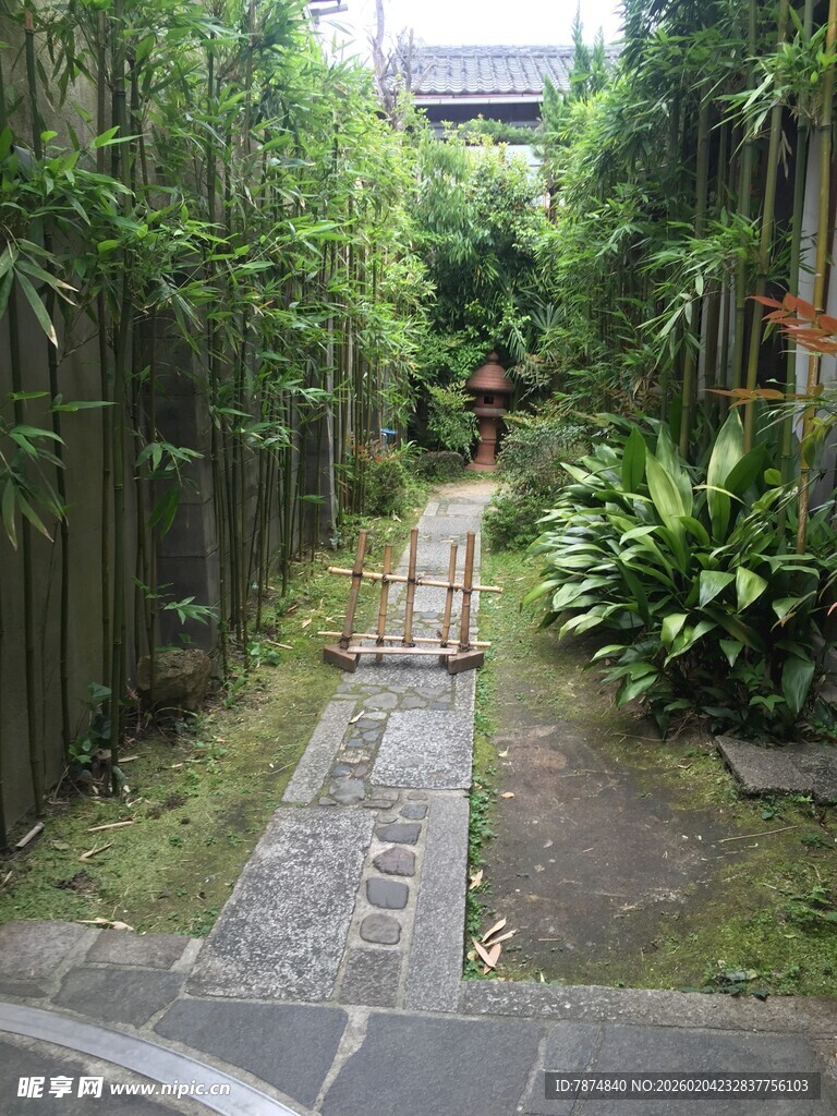 日本幽静竹林小径景观