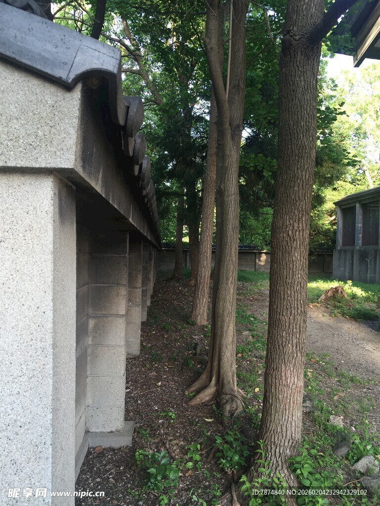 日本石墙边的树木与绿植