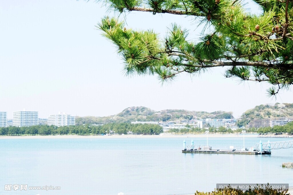 日本湖畔松景 悠然水上风光