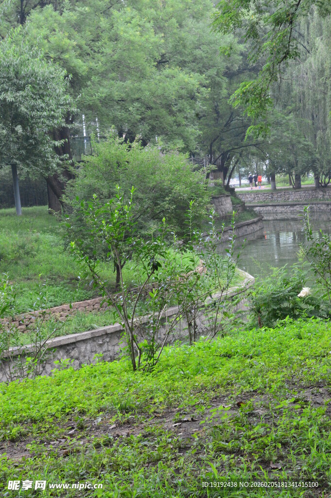 公园风景  