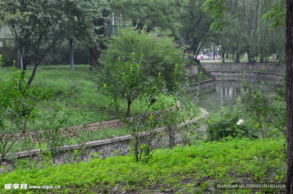 公园风景  