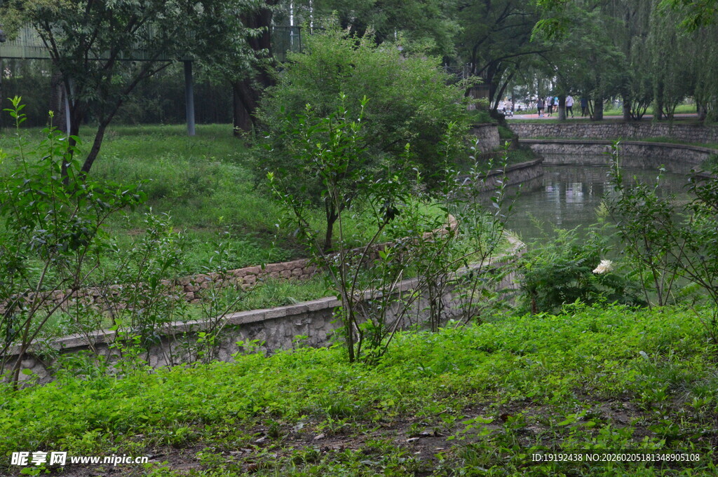 公园风景 