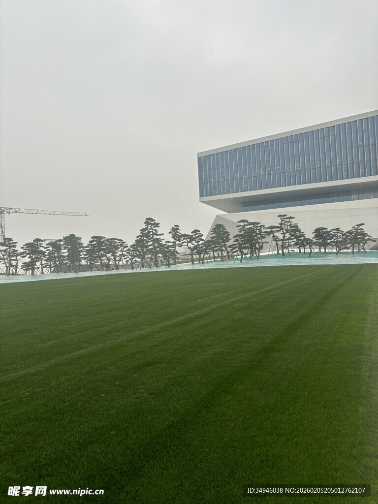 绿茵场地与远处建筑景观