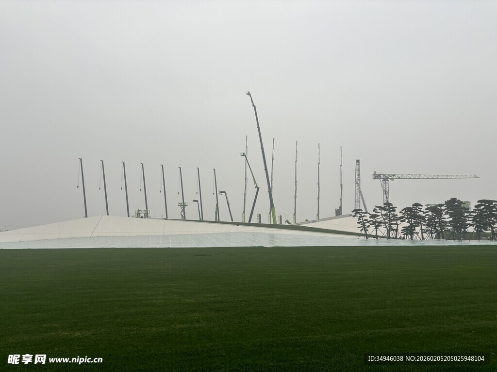 雾中草原上的林立木桩