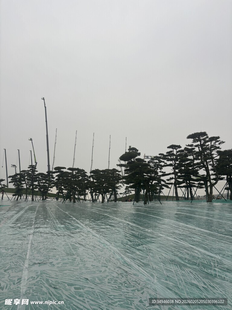 雨中广场与成排树木