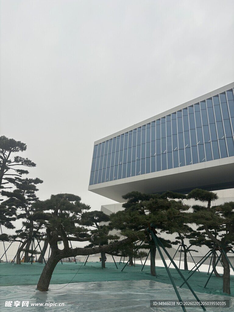 现代悬浮建筑与景观树木
