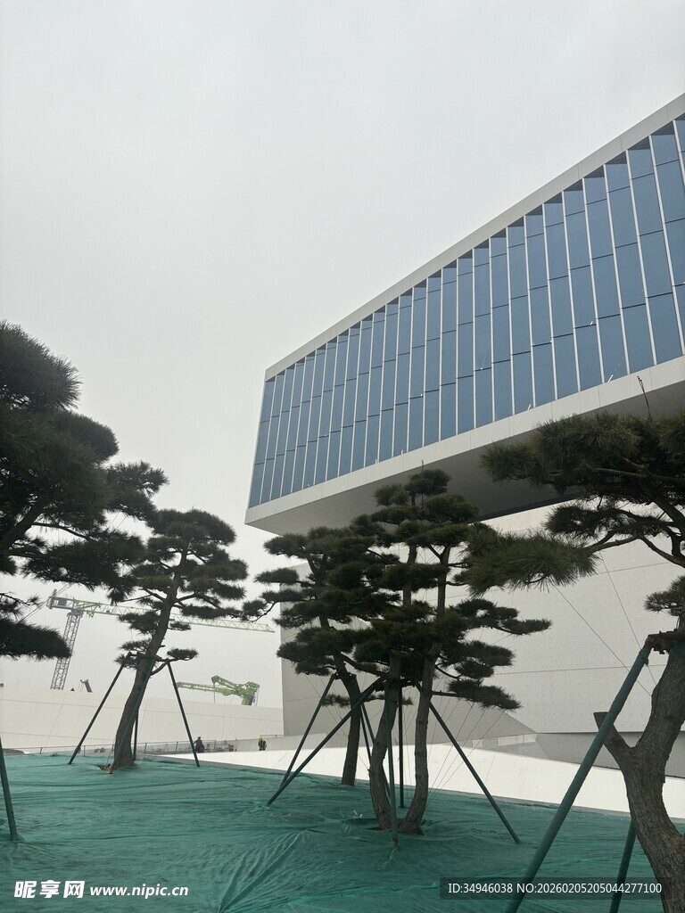 现代建筑前的雅致树木景观