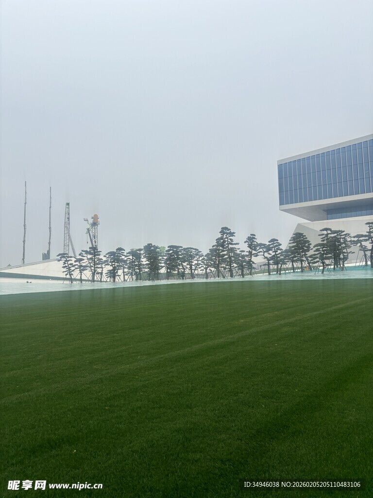 城市中开阔的绿茵草地