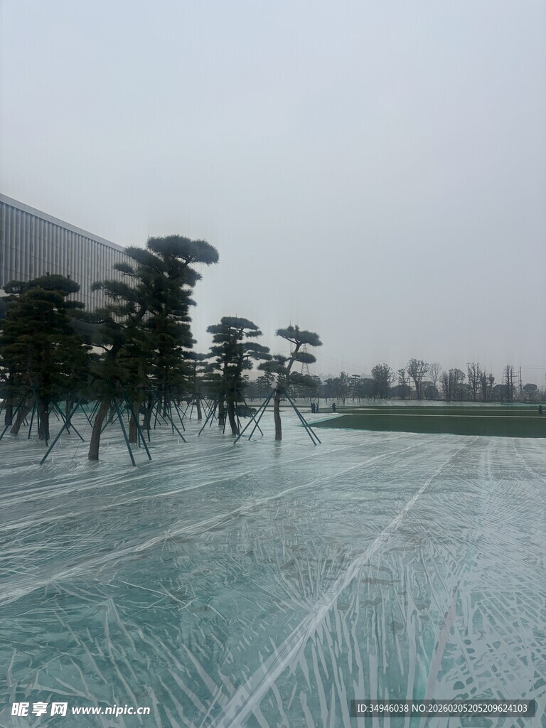 雪地中的树木与开阔场地