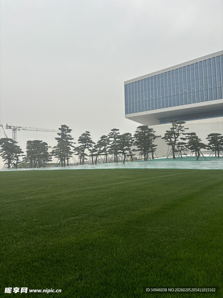 城市中开阔的绿地与现代建筑