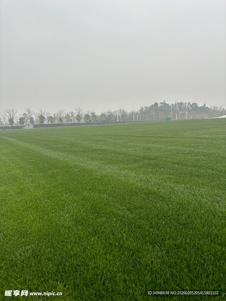 广袤翠绿的田野风光