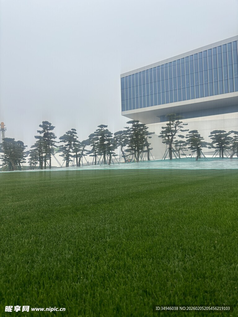 城市旁的翠绿草地与树木