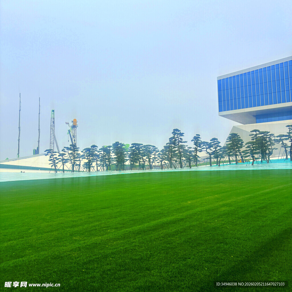 城市中的大片绿茵与建筑