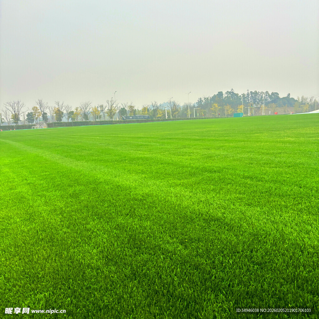 翠绿广阔的平整绿茵草地
