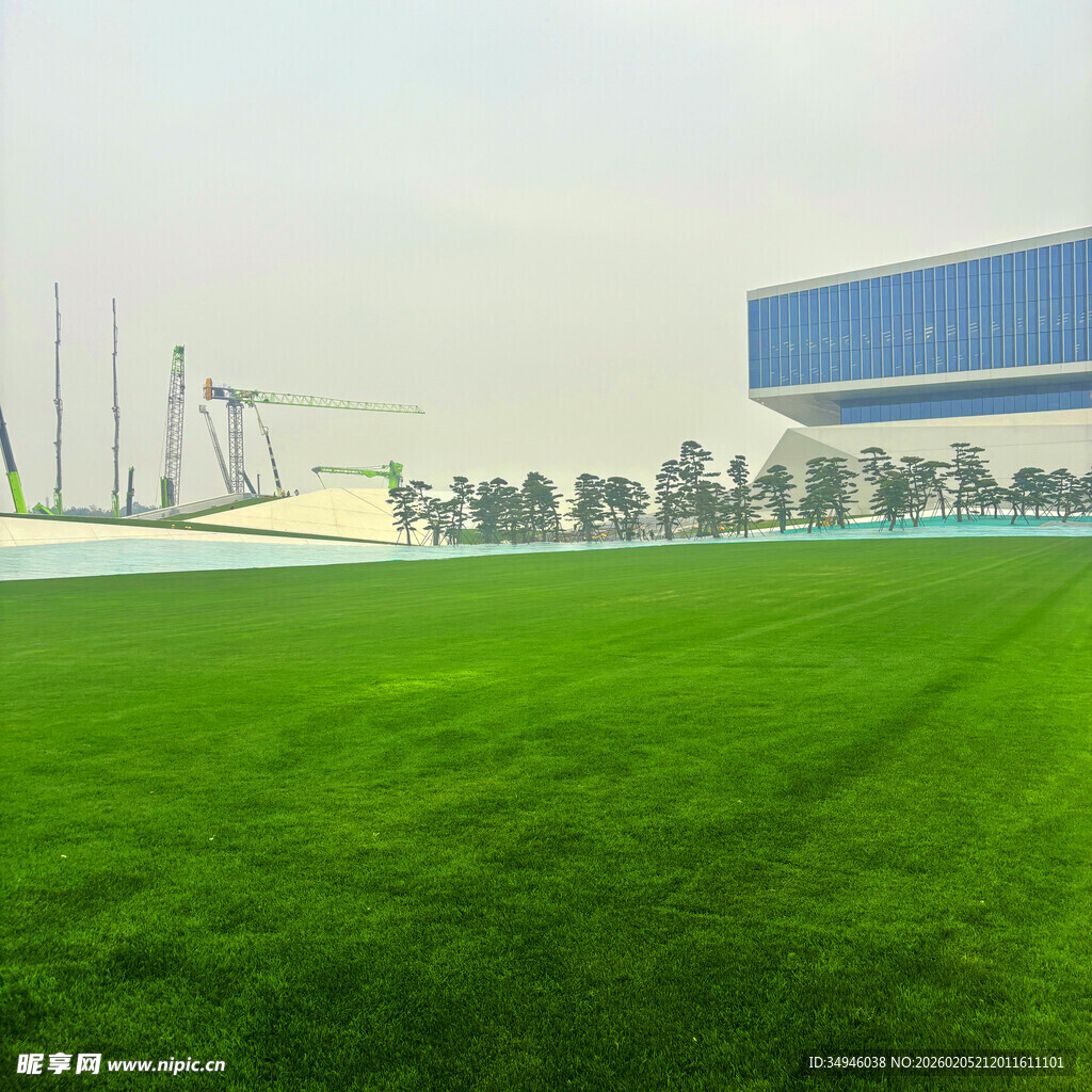 户外大片翠绿草坪场景