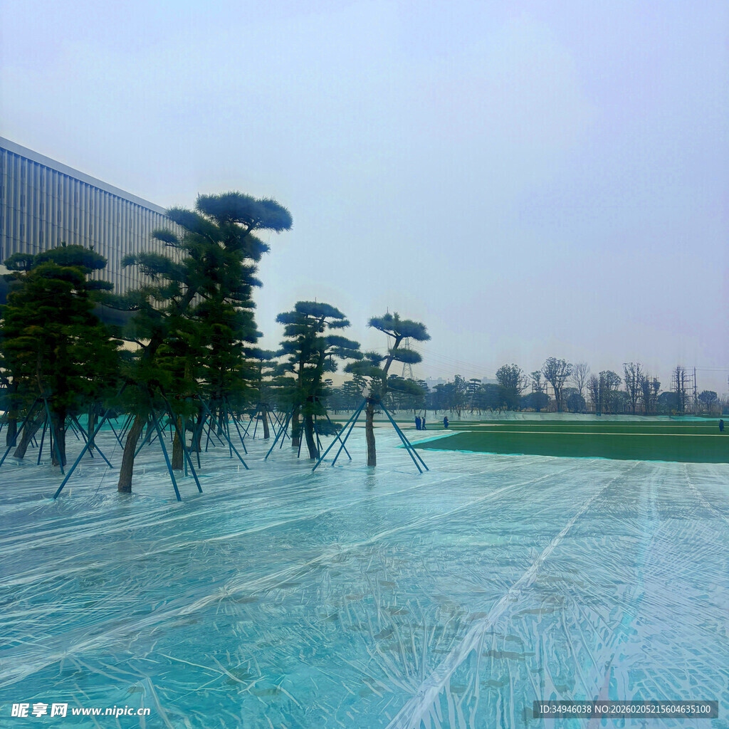 水上独特景观的树木