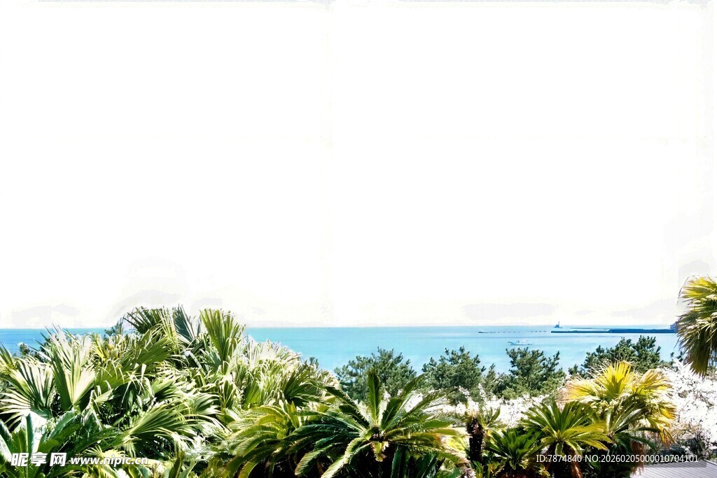 日本热带海滨绿植景观