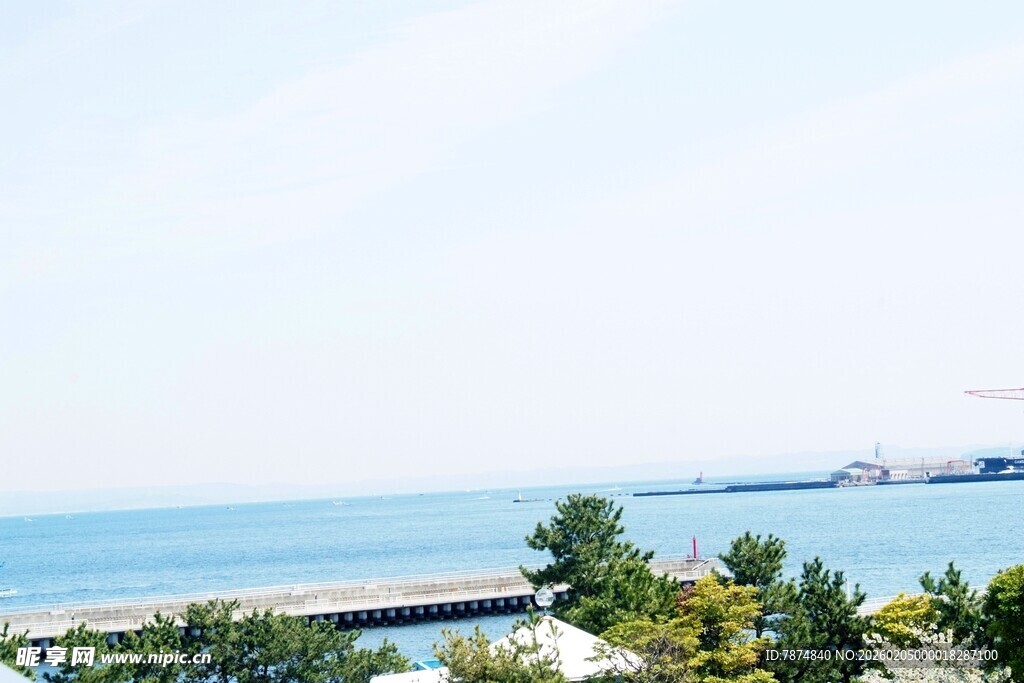 日本海滨风光 绿树与辽阔海面