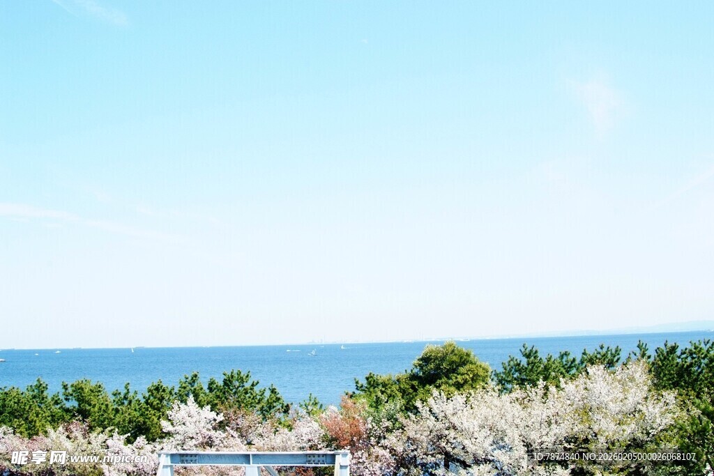 日本海边绿植与开阔海景